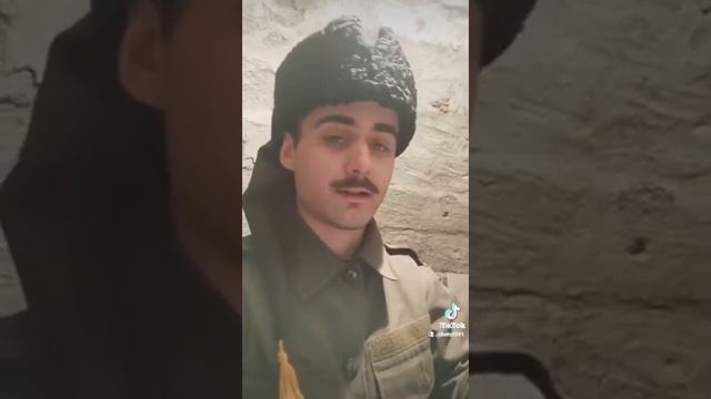 обращение к Кадырову рамзану смотреть онлайн