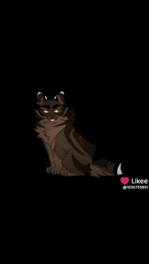 коты воители