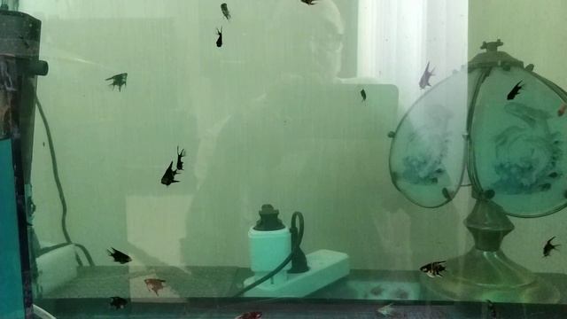 третье поколение