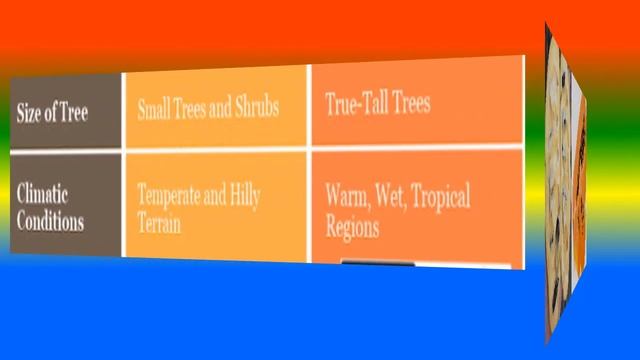 Difference Between pawpaw and papaya смотреть онлайн