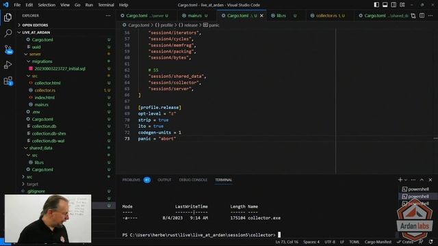 Ardan Labs - Ultimate Rust Foundations смотреть онлайн