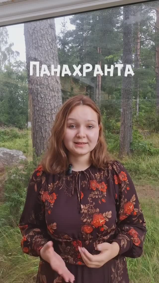 Типы Богородичных икон: Елеуса и Панахранта. Ч.4. #религия #икона #богородица