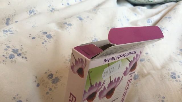 Echinacea adventure смотреть онлайн