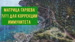 Матрица Гаряева для коррекции иммунитета.Новая 2025 год