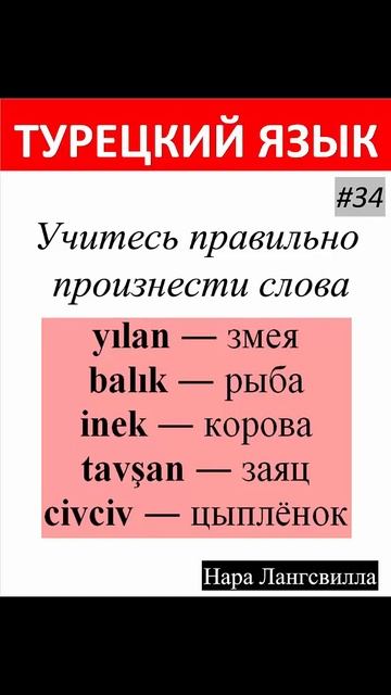Турецкий язык / Новые слова и выражения yılan, balık, inek, tavşan, civciv смотреть онлайн