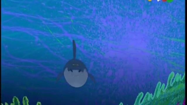 Зик и Шарко2