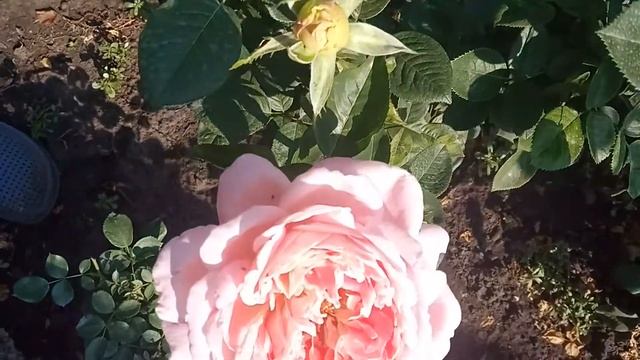 І в дощ і в спеку смотреть онлайн