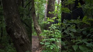 команда - Ап