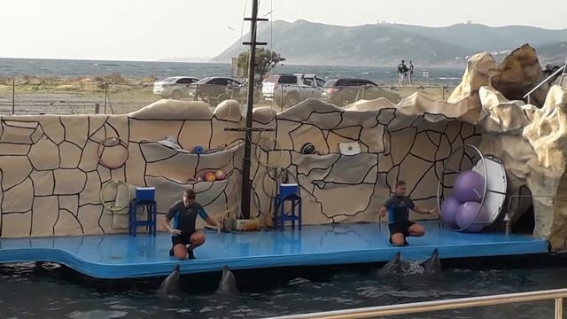 Дельфины поют. А дельфины добрые... смотреть онлайн