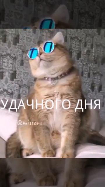 Доброе утро смотреть онлайн