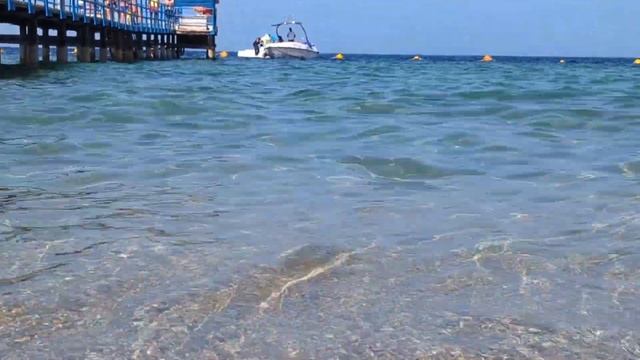 Egypt 🇪🇬 Which Sea Is Better? Mediterranean Sea VS Red Sea. Сравнение Средиземного и Красного морей