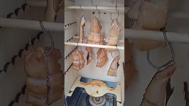 Коптим тайменя в коптильне 