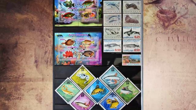 Post stamps - my collection смотреть онлайн