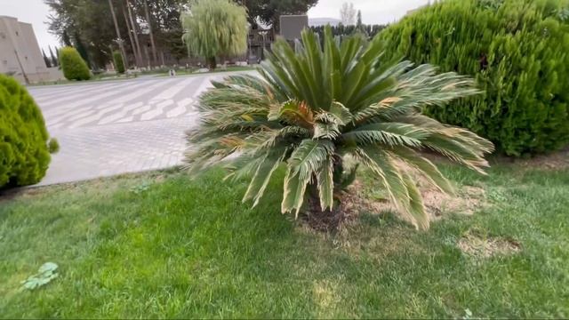 Short walk through the small town of Agjabadi, Azerbaijan 🇦🇿 (Агджабеди) смотреть онлайн