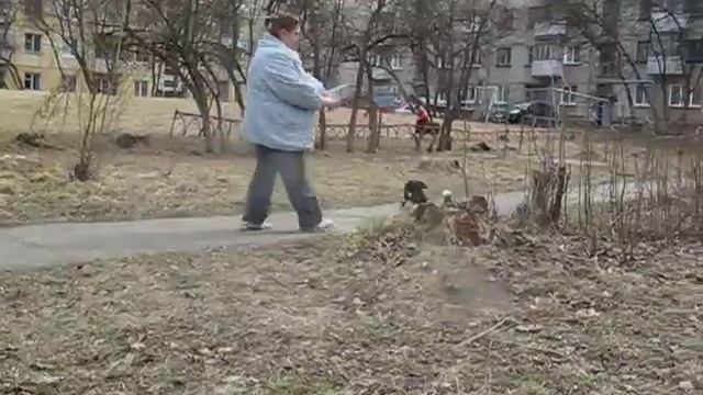 Марго 2 месяца. смотреть онлайн