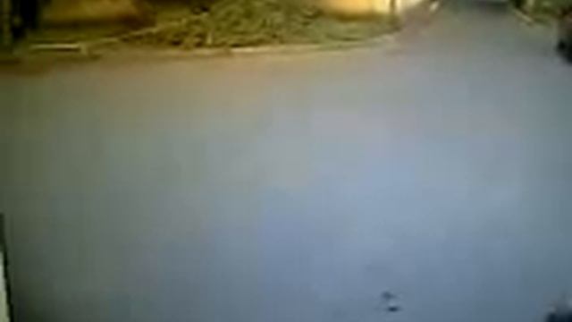Как кабан напугал усатого охранника смотреть онлайн