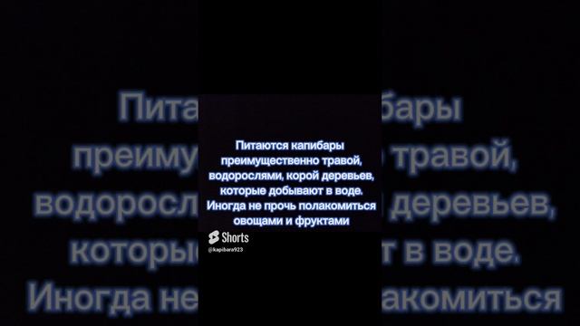 50 фактов про капибар #капибары смотреть онлайн