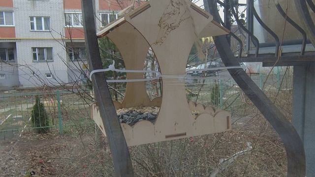 Птички в кормушке немое кино смотреть онлайн