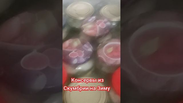 Консервы из Скумбрии на Зиму. смотреть онлайн