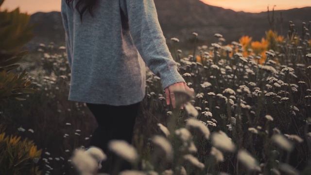 . смотреть онлайн