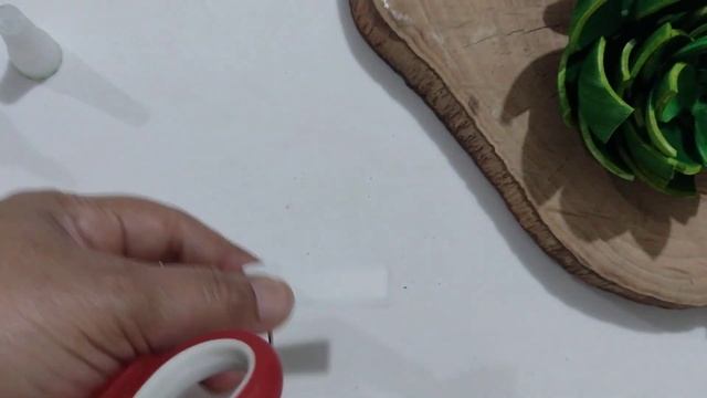 como fazer suculentas catavento em Eva passo a passo смотреть онлайн