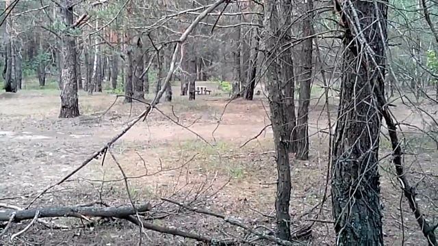 Полигон (рысью без привалов) смотреть онлайн