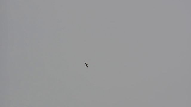 HUGE RC F-5 TIGER II SCALE MODEL TURBINE JET FLIGHT DEMONSTRATION смотреть онлайн