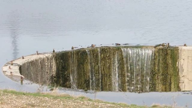 ставок "Вонючка"(Дебальцево)(rates) смотреть онлайн