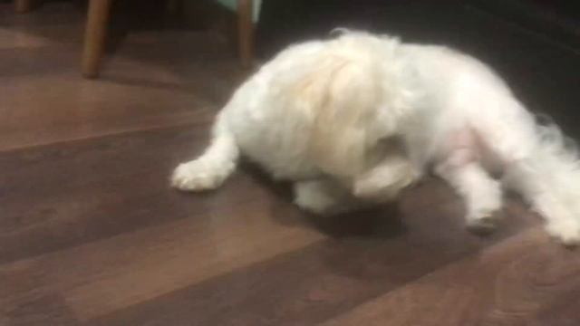 Мы вызываем духа бани кета одни дома 👻 смотреть онлайн