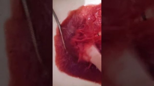 момо ранили. ее кровь. #момо #momo