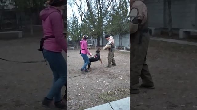 Бредли Бо Ванесса. Занятие по защитной службе смотреть онлайн