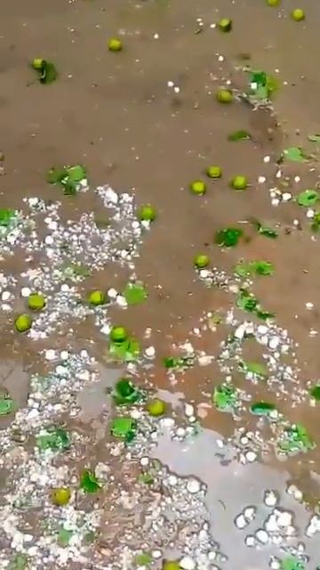 Barish ka mosam /Baran aw gali 🌧☔️ смотреть онлайн