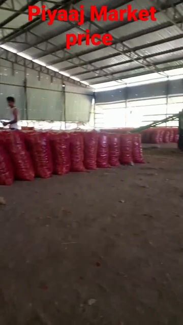 onion market price wholesale today #shorts #youtubeshorts #shortvideo смотреть онлайн