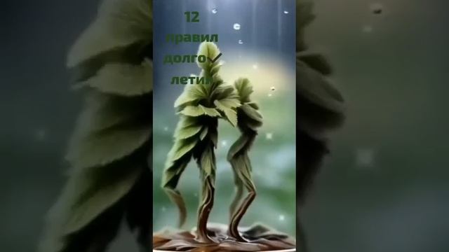 Двенадцать правил долголетия смотреть онлайн