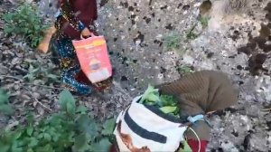 05.04.2023 Женщины-кочевницы в горах ищут растения для пропитания