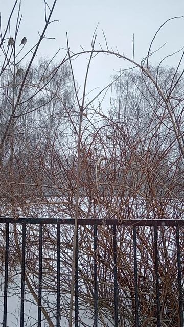 Прогулка ееее