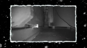 Ежик Чихнул-Откуда мем ?