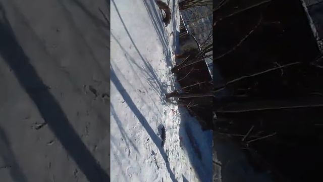 Гуляем с классом смотреть онлайн