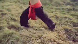 Укроп це ти, укроп це я...