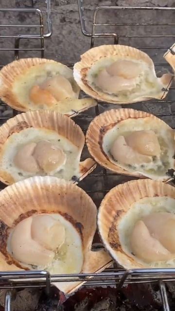Морской гребешок на мангале смотреть онлайн