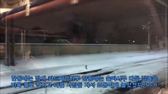 [모스크바유학생]모스크바국립대학교한인학생회 상트견학 첫번째 (САНКТ-ПЕТЕРБУРГ)