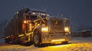 В путь за рифером на Юг+!) и возвращение дамой)