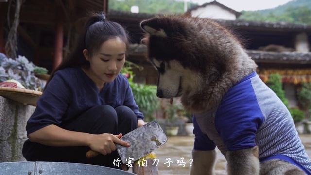 大王特辑（二）用肉做的蛋糕，帮大王庆祝三岁生日～【滇西小哥】