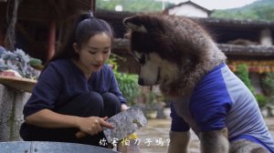 大王特辑（二）用肉做的蛋糕，帮大王庆祝三岁生日～【滇西小哥】