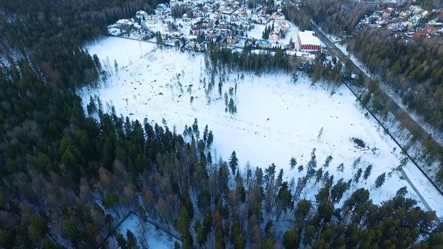 Вырубка леса на 2-м успенском шоссе. смотреть онлайн