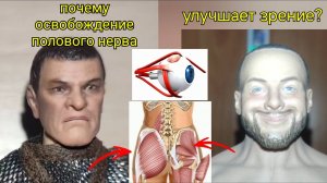 Ягодичный треугольник зажимает половой нерв, ухудшает зрение. Оживляющие упражнения