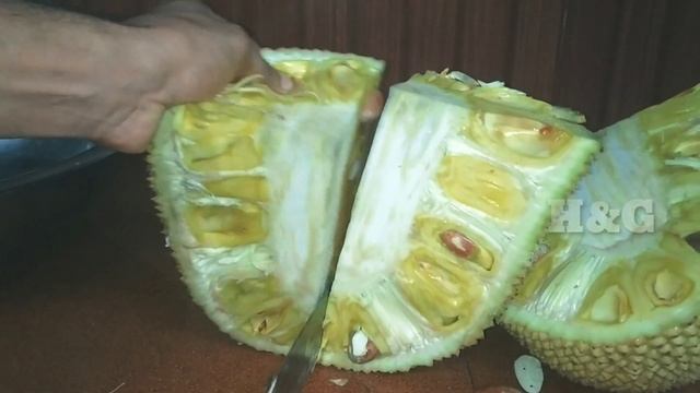 JACKFRUIT | BENEFITS OF JACKFRUIT   | JACKFRUIT USES