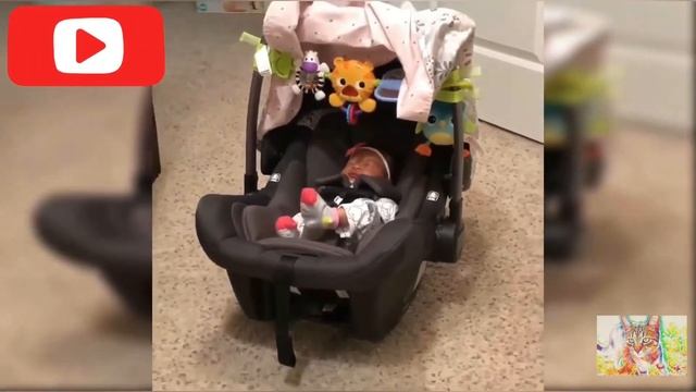 CATS REACTIONS TO BABIES. РЕАКЦИИ КОТОВ НА МЛАДЕНЦЕВ. смотреть онлайн
