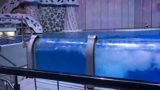 МОСКВАРИУМ смотреть онлайн