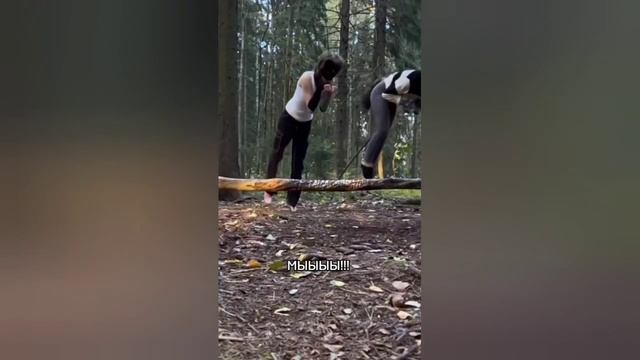 Сборник видео Ирисовой звезды! #квадробика #квадробикатоп #ирисоваязвезда @IrI смотреть онлайн